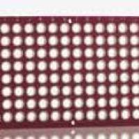 Azenta 4titude®FrameStar® 96 孔无裙边PCR板, 低容