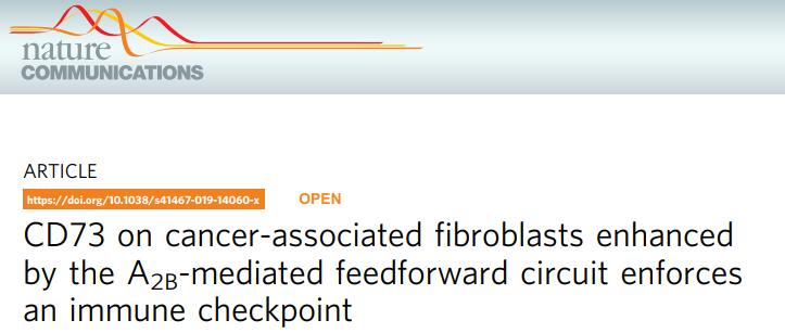 Nature子刊：癌症通过CD73检查点网络来抑制免疫反应
