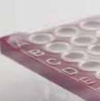 Azenta 4titude®胶粘封板膜系列产品