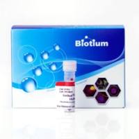 PAGE GelRed Nucleic Acid Gel Stain, 10,000X in water 41008-500uL