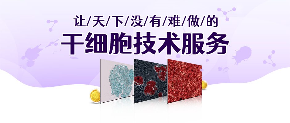 间充质干细胞的成脂诱导分化实操，我最挂心的事儿解决了