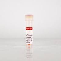 6X GelRed Prestain Buffer with Orange Tracking Dye 41010