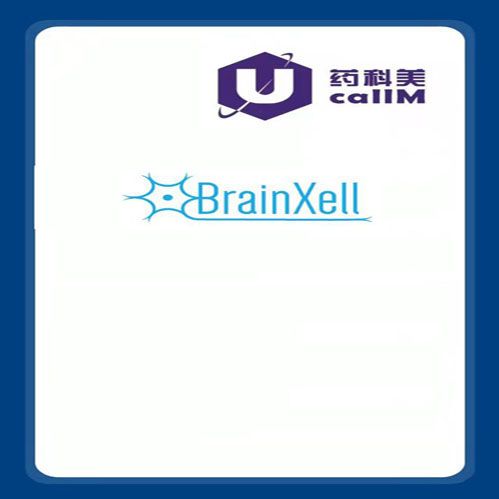 北京美科美生物公司代理BrainXell