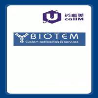 北京美科美生物公司代理biotem-antibody