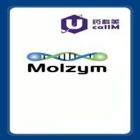 北京美科美生物公司代理molzym