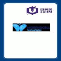 北京美科美生物公司代理Morphocell