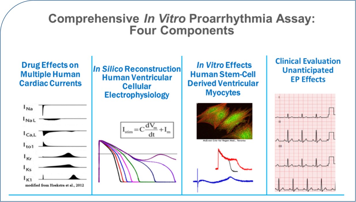 基于cipa的心脏安全性测试-使用syncropatch 384和genedata screener进行大规模测试