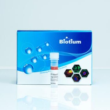 PROBENECID, SODIUM SALT *WATER SOLUBLE*, 77mg 50027