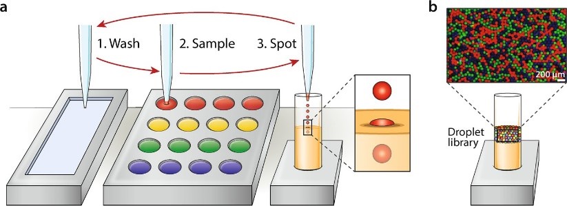 使用SCIENION的高精度喷点设备生成高多样性液滴文库