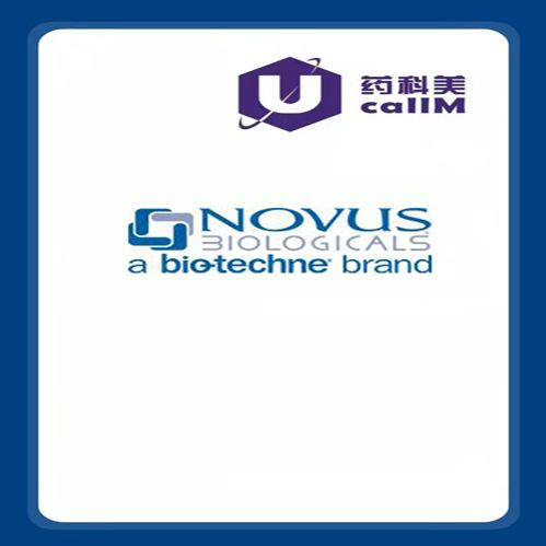 北京美科美生物公司代理Novus biologicals