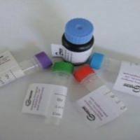 596-09-8二乙酸萤光素