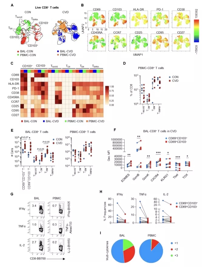 Science Immunology：新冠肺部后遗症免疫特征高维解析