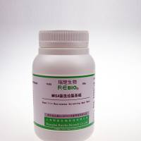 MRSA筛选琼脂基础