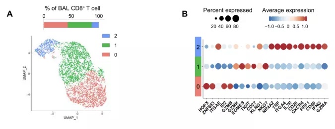 Science Immunology：新冠肺部后遗症免疫特征高维解析