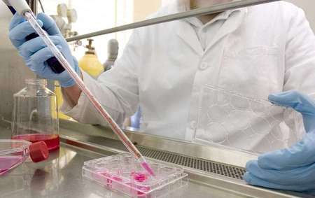 培养微生物 从这些方面入手！