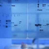 CAS:27599-63-9、≥95% (HPLC)、5(6)-氨基荧光素(异构体混合物)