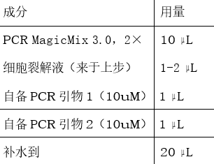 免提 PCR 试剂盒