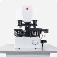 无标记活细胞成像分析系统-Q-Phase