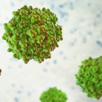 病毒包装服务/病毒包装检测/病毒载体构建