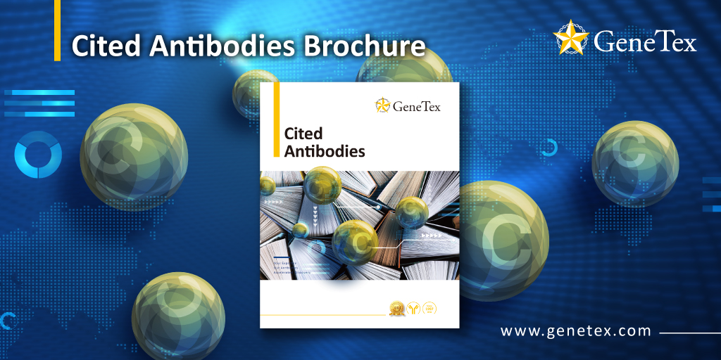 下载 GeneTex 的 Cited Antibodies 小册