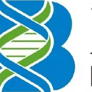 转基因蛋白---Bar 抗体（配对）