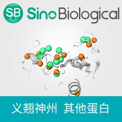 重组食蟹猴 / 恒河猴 Angiopoietin-2 / ANG2 蛋白 (His标签)