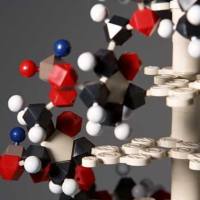 CAS：3348-03-6、≥95% (HPLC)、6-羧基荧光素二乙酸酯