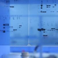 CAS:91809-67-5、≥90% (HPLC)、6-羧基四甲基罗丹明