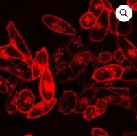 DII (OR DIIC18(3)) 60010