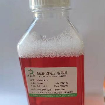 7-氯-2-甲基吡唑并[1，5-a]嘧啶-6-羧酸乙酯