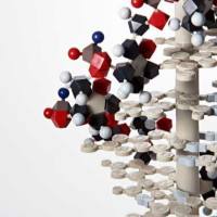 CAS:150206-15-8、≥90% (HPLC)、6-CFDA N-琥珀酰亚胺酯