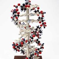 CAS：148504-34-1、≥95% (HPLC)、钙黄绿素-AM