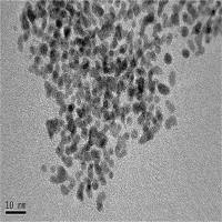 纳米铂/纳米铂溶液