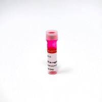 DII IN VEGETABLE OIL 60018