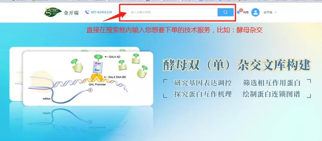 岁月如新，美好常在| 金开瑞商城2022贺岁上线！