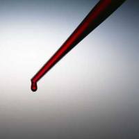 CAS：172227-59-7、≥95% (HPCE)、6-（4-乙酰氨基-1,8-萘酰胺）己酸