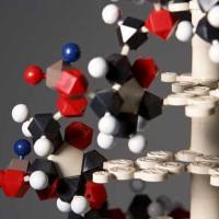 CAS：91809-66-4、≥97% (HPLC)、5-羧基四甲基罗丹明