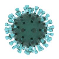 【免费试用】慢病毒、腺病毒、腺相关病毒