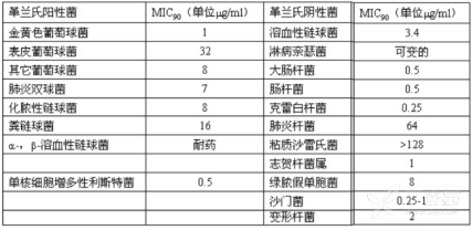 图片预览