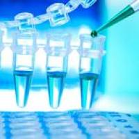 CAS:254109-22-3、≥98% (HPLC)、DAF-FM DA 溶液