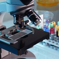 CAS：61926-22-5、≥90% (HPCE)、乙锭同二聚体溶液	