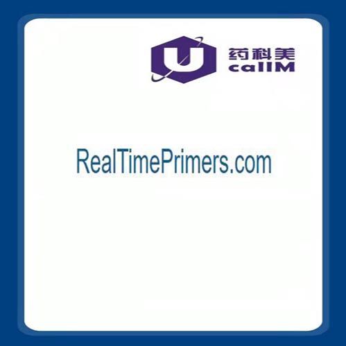 北京美科美生物公司代理RealTimePrimers