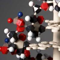 CAS：109244-58-8、≥95% (NMR)、二氢罗丹明123