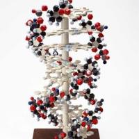 CAS：143503-03-1、≥97% (HPLC)、DPM