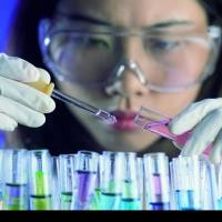 CAS：61926-22-5、90% (HPCE)、乙锭同二聚体