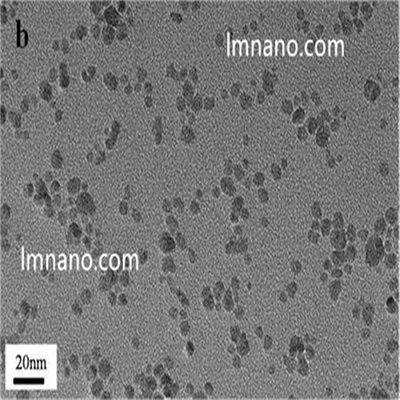 聚乙烯亚胺修饰的四氧化三铁磁性纳米颗粒