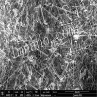 100nm 碳化硅纳米线
