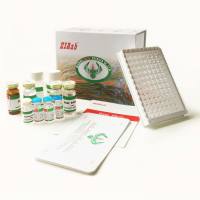 牛红细胞膜蛋白质带4.2(EPB42试剂盒)ELISA试剂盒