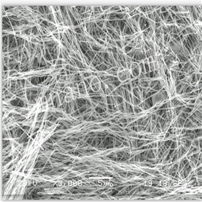 20nm 氧化镍纳米线