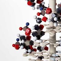 CAS：54268-70-1、≥99% (HPLC)、二甲基吲哚二碳菁